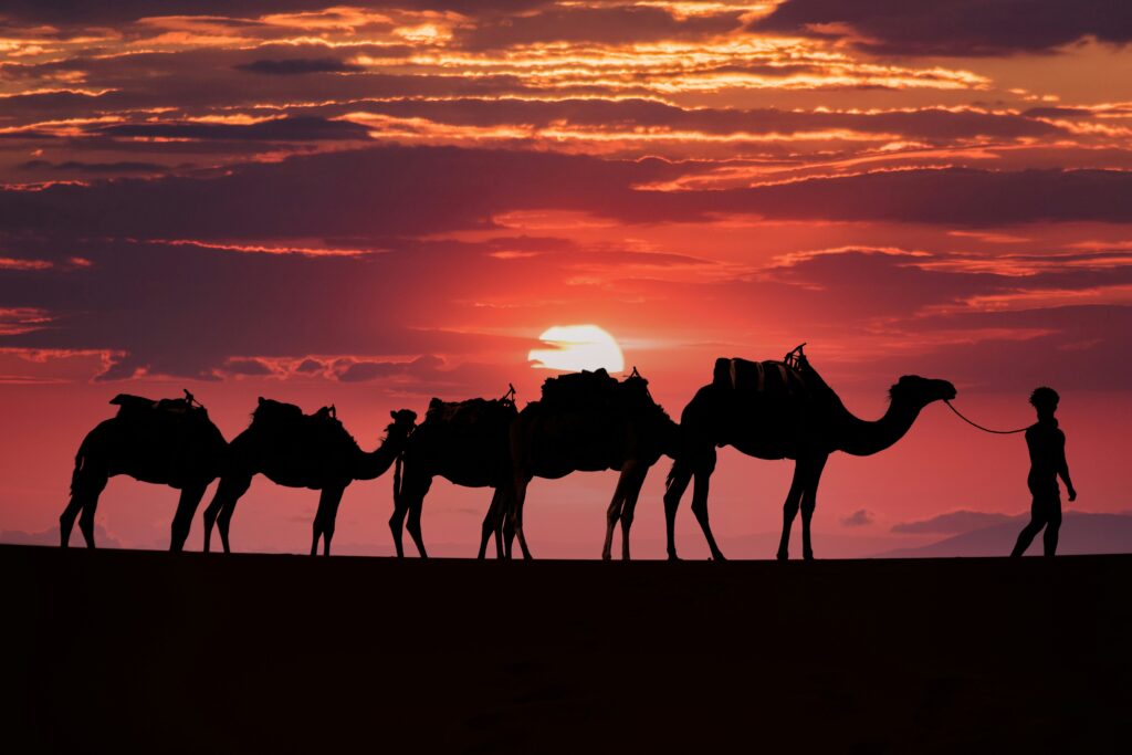 desert-maroc